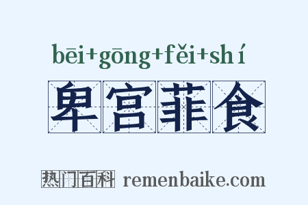卑宫菲食是什么意思的图片